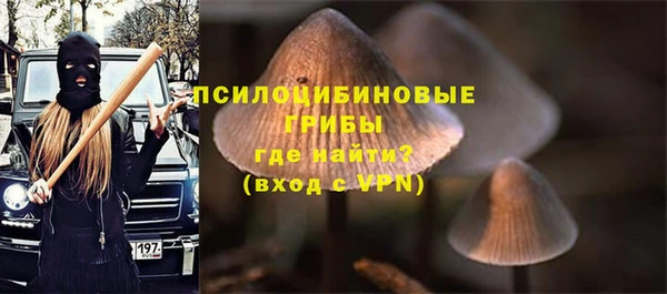 дмт Алексин