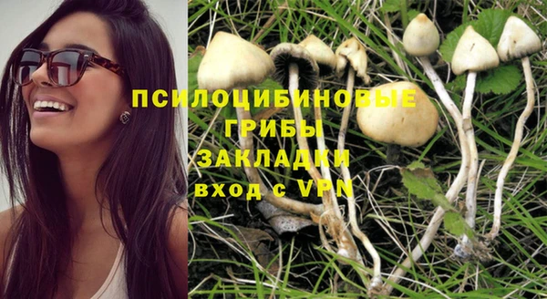 дмт Алексин