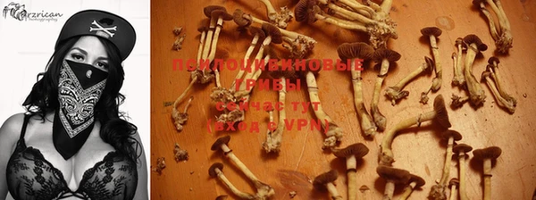 кокаин колумбия Алзамай